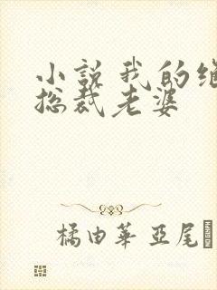 小说 我的绝色总裁老婆封面