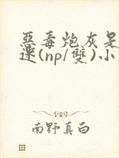 恶毒炮灰是万人迷(np/双)小说全文免费