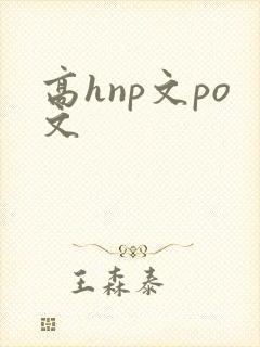高hnp文po文