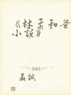 《林柔和爸爸的小说》