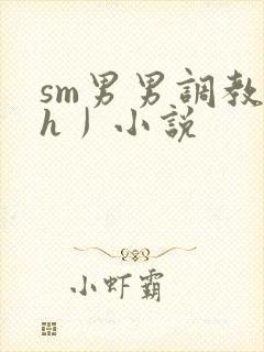 sm男男调教〈h丿小说