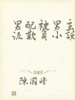 男配被男主们轮流欺负小说封面