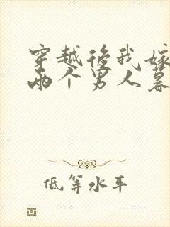穿越后我嫁给了两个男人暮色酒歌