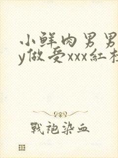 小鲜肉男男gay做受xxx红楼