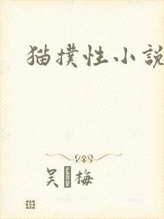 猫扑性小说封面
