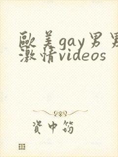 欧美gay男男激情videos封面
