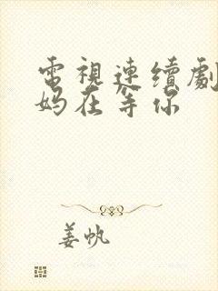 电视连续剧 妈妈在等你