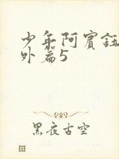 少年阿宾钰慧番外篇5