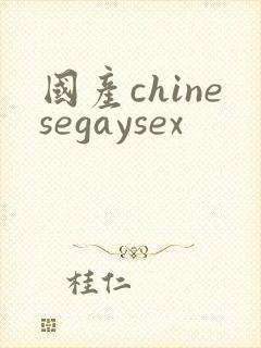 国产chinesegaysex