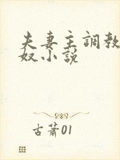 夫妻主调教夫妻奴小说封面