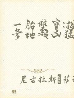 一胎双宝:总裁爹地超凶猛短剧封面