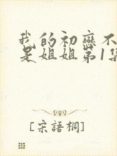 我的初恋不可能是姐姐第1集剧情