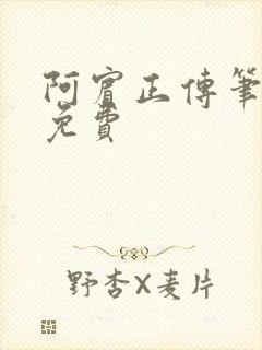 阿宾正传笔趣阁免费