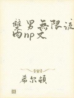 双男无限流h啪肉np文