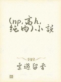 (np,高h,纯肉)小说