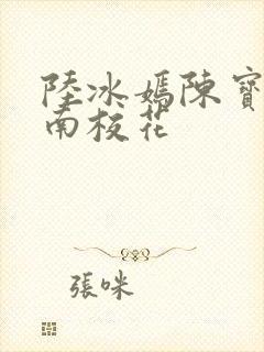 陆冰嫣陈宝柱江南校花封面