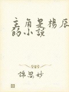 主角是杨辰秦惜的小说封面