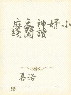 麻衣神婿小说在线阅读