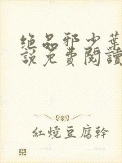 绝品邪少叶潇小说免费阅读txt下载