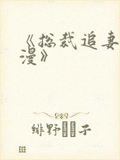 《总裁追妻路漫漫》封面