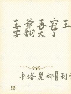 王爷再宠王妃就要翻天了