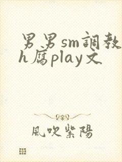 男男sm调教高h腐play文封面