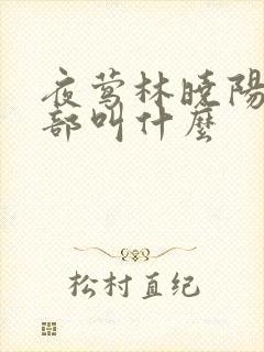 夜莺林晓阳第二部叫什么