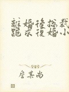 离婚后总裁天天跪求复婚小说