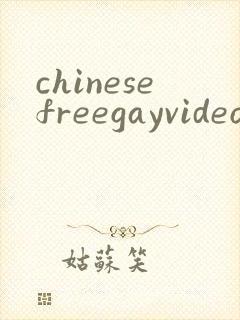 chinesefreegayvideos