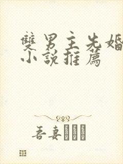 双男主先婚后爱小说推荐