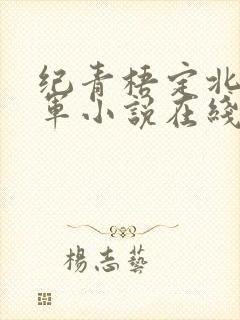 纪青梧定北大将军小说在线阅读