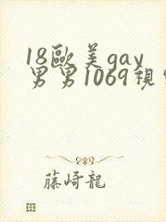 18欧美gay男男1069视频