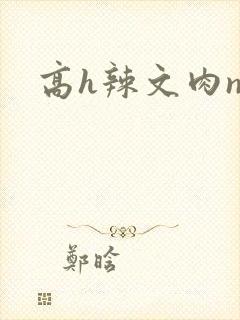 高h辣文肉np
