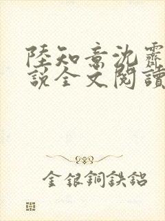 陆知意沈霁川小说全文阅读封面