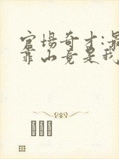 官场奇才:最强靠山竟是我自己李澜全本阅