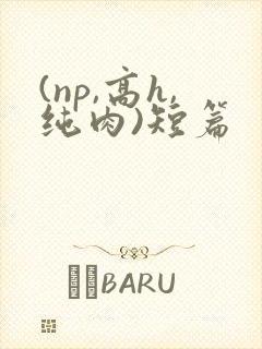 (np,高h,纯肉)短篇