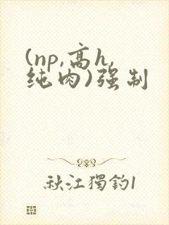 (np,高h,纯肉)强制