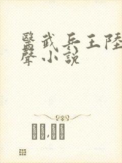 医武兵王陆轩有声小说