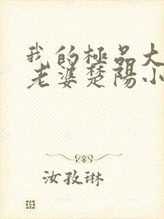 我的极品大小姐老婆楚阳小说阅读