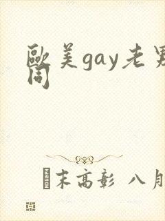 欧美gay老男同
