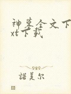 神墓全文下载txt下载
