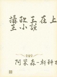 摄政王在上双男主小说封面