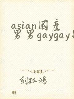 asian国产男男gaygay网站封面