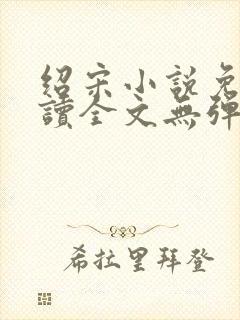 绍宋小说免费阅读全文无弹窗封面