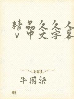 精品久久人妻aⅴ中文字幕