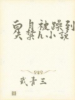 白月被躁到高潮失禁h小说封面
