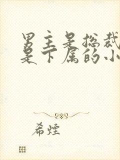 男主是总裁女主是下属的小说封面