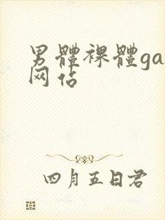 男体裸体gay网站