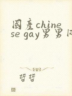 国产chinese gay男男网站