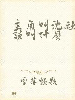 主角叫沈秋的小说叫什么